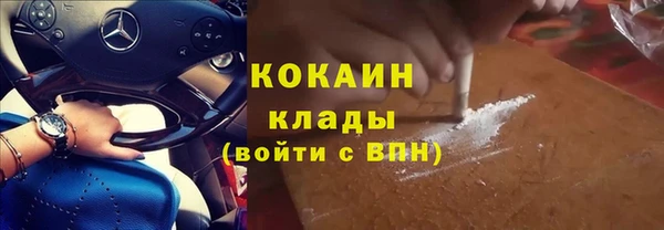 прущие грибы Богородск