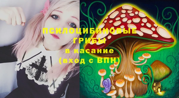 соль ск Горнозаводск