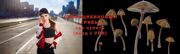 jwh Елабуга