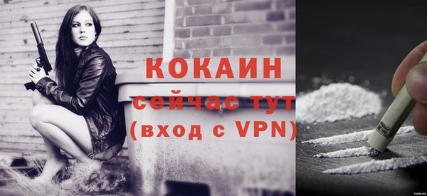 прущие грибы Богородск