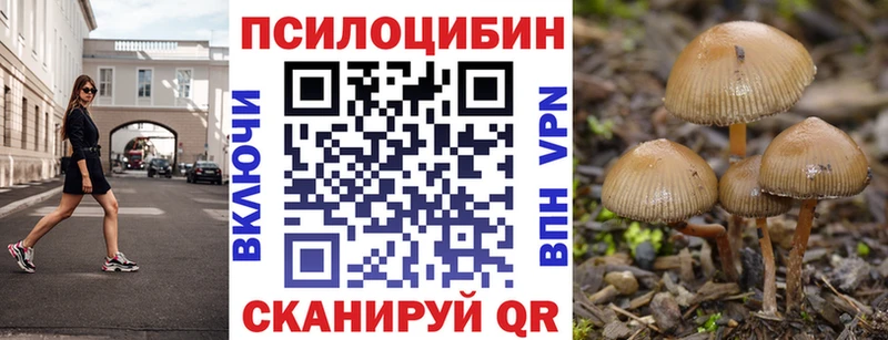 Псилоцибиновые грибы Magic Shrooms  Киржач 